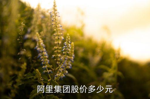 阿里集團(tuán)股價多少元