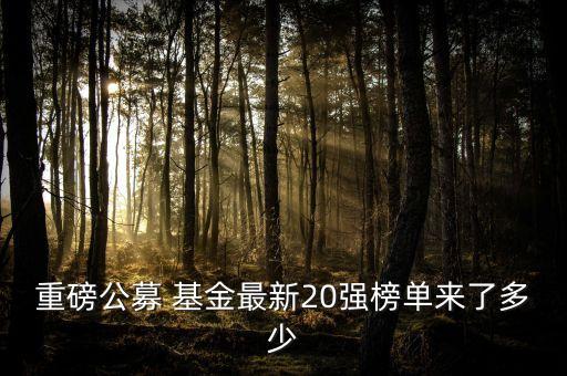 重磅公募 基金最新20強(qiáng)榜單來(lái)了多少