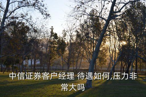 中信證券客戶經(jīng)理 待遇如何,壓力非常大嗎