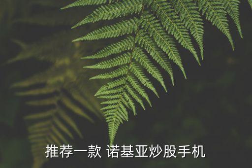 推薦一款 諾基亞炒股手機