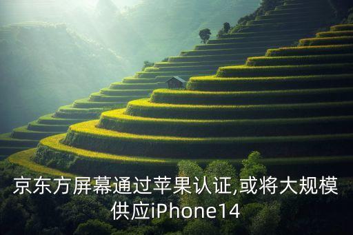 京東方屏幕通過蘋果認證,或?qū)⒋笠?guī)模供應(yīng)iPhone14