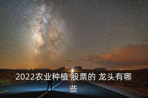 2022農(nóng)業(yè)種植 股票的 龍頭有哪些