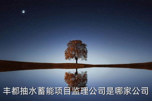 豐都抽水蓄能項目監(jiān)理公司是哪家公司