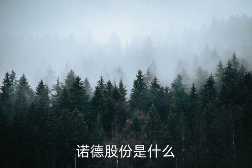 諾德股份是什么