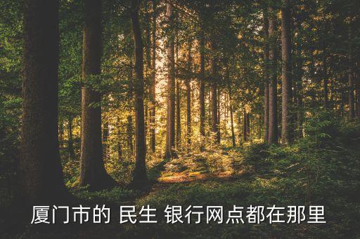 廈門市的 民生 銀行網(wǎng)點都在那里