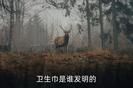 衛(wèi)生巾是誰發(fā)明的