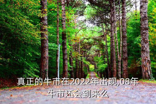 真正的牛市在2022年出現(xiàn),08年牛市還會(huì)到來(lái)么