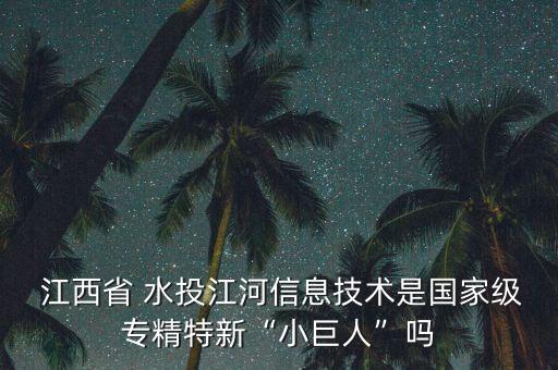  江西省 水投江河信息技術(shù)是國家級(jí)專精特新“小巨人”嗎