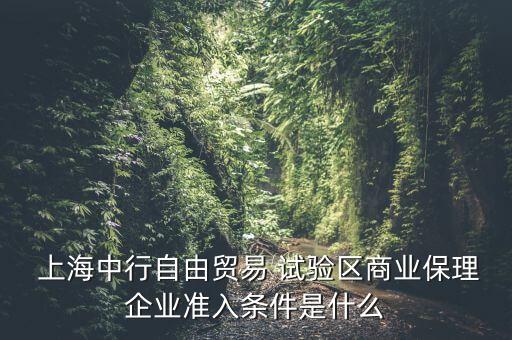  上海中行自由貿(mào)易 試驗(yàn)區(qū)商業(yè)保理企業(yè)準(zhǔn)入條件是什么