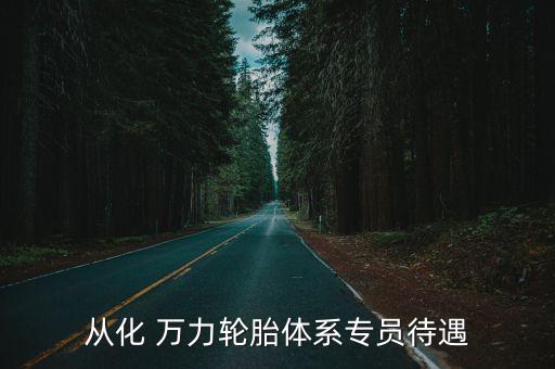 從化 萬(wàn)力輪胎體系專員待遇