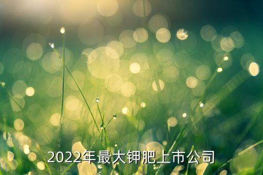 2022年最大鉀肥上市公司