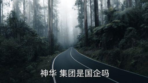 中國神華集團準(zhǔn)格爾能源有限責(zé)任公司,包頭能源有限責(zé)任公司屬于神華集團嗎