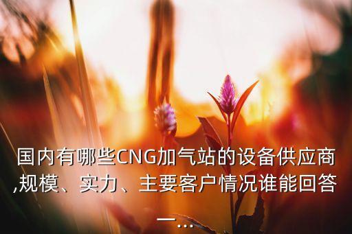 國內(nèi)有哪些CNG加氣站的設(shè)備供應(yīng)商,規(guī)模、實力、主要客戶情況誰能回答一...