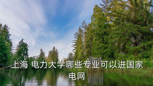  上海 電力大學(xué)哪些專業(yè)可以進國家電網(wǎng)