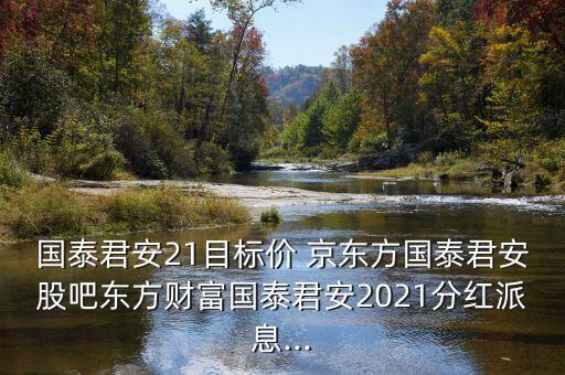 國泰君安21目標價 京東方國泰君安股吧東方財富國泰君安2021分紅派息...