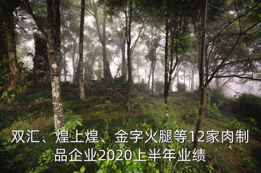 雙匯、煌上煌、金字火腿等12家肉制品企業(yè)2020上半年業(yè)績