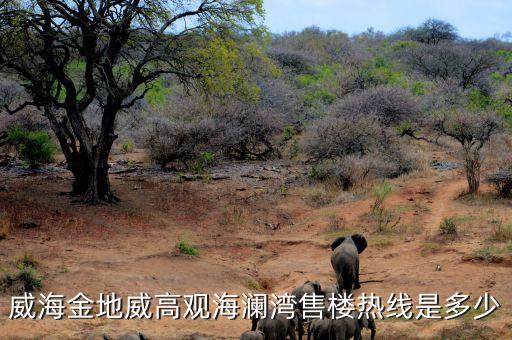 威海金地威高觀海瀾灣售樓熱線是多少