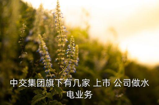 中交集團旗下有幾家 上市 公司做水電業(yè)務