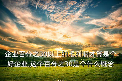 企業(yè)百分之30以上的毛利潤才算是個好企業(yè),這個百分之30是個什么概念...