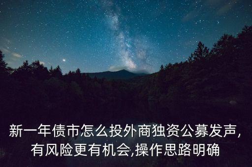 新一年債市怎么投外商獨資公募發(fā)聲,有風(fēng)險更有機(jī)會,操作思路明確