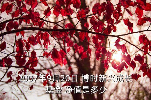 2007年9月20日 博時(shí)新興成長(zhǎng) 基金 凈值是多少