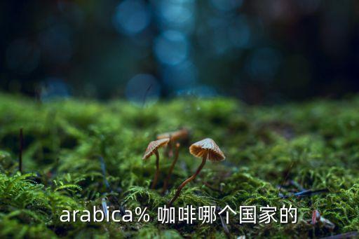 思茅阿拉比卡星咖啡有限責(zé)任公司