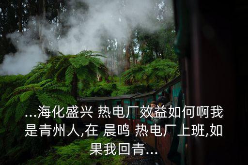 ...?；⑴d 熱電廠效益如何啊我是青州人,在 晨鳴 熱電廠上班,如果我回青...