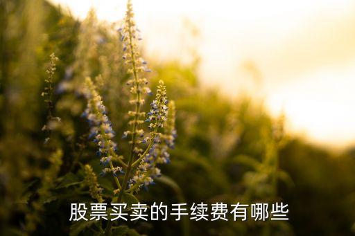  股票買(mǎi)賣(mài)的手續(xù)費(fèi)有哪些