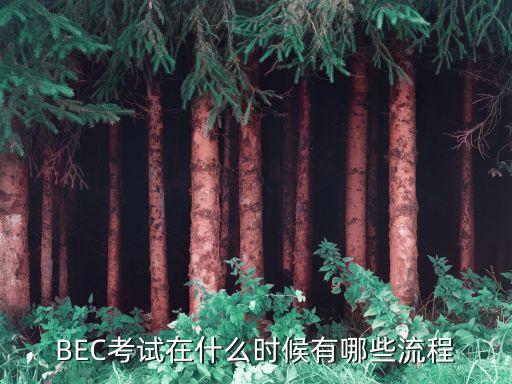 BEC考試在什么時(shí)候有哪些流程