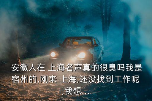  安徽人在 上海名聲真的很臭嗎我是宿州的,剛來(lái) 上海,還沒(méi)找到工作呢,我想...