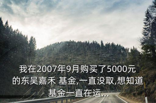 我在2007年9月購買了5000元的東吳嘉禾 基金,一直沒取,想知道 基金一直在運...