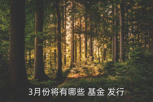 正在發(fā)行的基金,最新發(fā)行的REITS基金