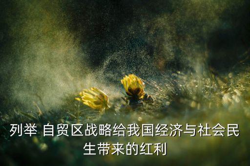 列舉 自貿(mào)區(qū)戰(zhàn)略給我國經(jīng)濟(jì)與社會(huì)民生帶來的紅利