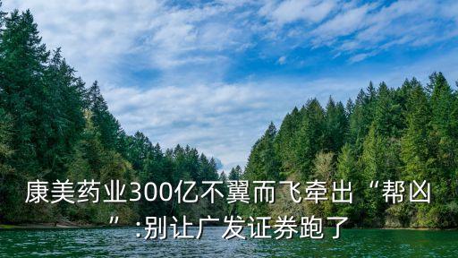 康美藥業(yè)300億不翼而飛牽出“幫兇”:別讓廣發(fā)證券跑了