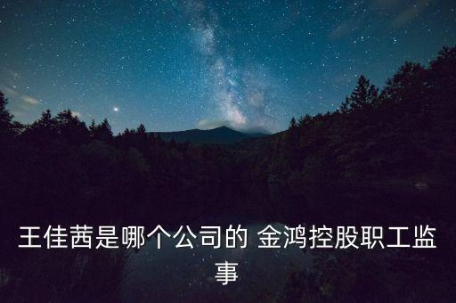 王佳茜是哪個(gè)公司的 金鴻控股職工監(jiān)事