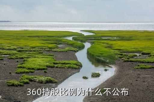 360開頭的股票代碼,奇虎360股票代碼