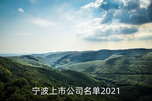 寧波上市公司名單2021