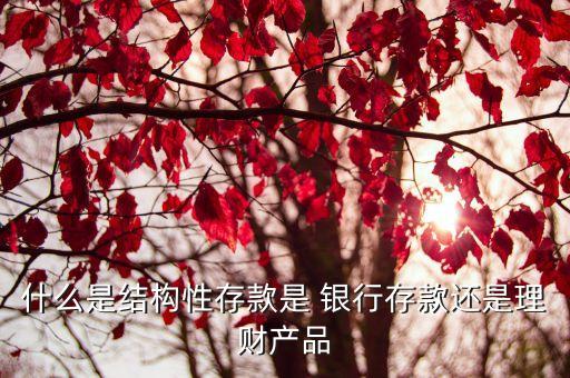 什么是結(jié)構(gòu)性存款是 銀行存款還是理財產(chǎn)品