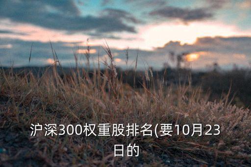 滬深300權(quán)重股排名(要10月23日的