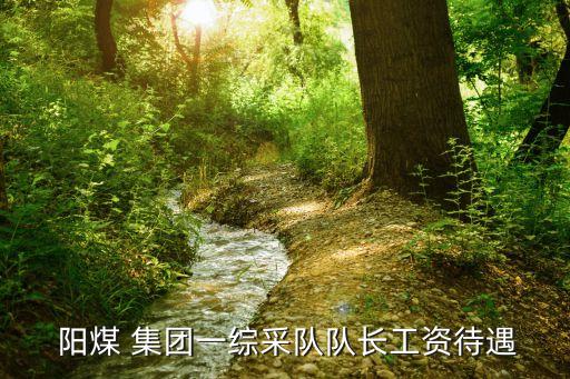  陽(yáng)煤 集團(tuán)一綜采隊(duì)隊(duì)長(zhǎng)工資待遇