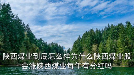 陜煤集團高峰照片,陜煤建設集團領導簡介及照片