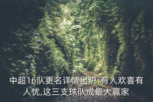 中超16隊(duì)更名詳情出爐:有人歡喜有人憂,這三支球隊(duì)成最大贏家