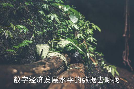 數字經濟發(fā)展水平的數據去哪找