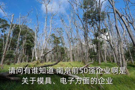 請問有誰知道 南京前50強(qiáng)企業(yè)啊是關(guān)于模具、電子方面的企業(yè)