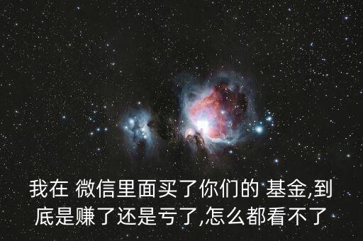 我在 微信里面買了你們的 基金,到底是賺了還是虧了,怎么都看不了