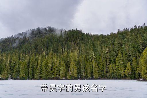 北京昊煜工貿(mào)有限責(zé)任公司,北京文海陽工貿(mào)有限責(zé)任公司