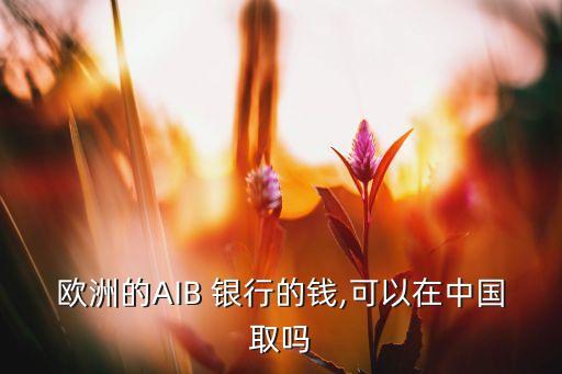 歐洲的AIB 銀行的錢,可以在中國取嗎