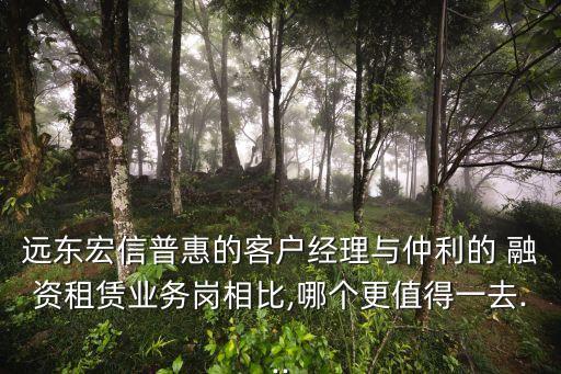 遠東宏信普惠的客戶經(jīng)理與仲利的 融資租賃業(yè)務崗相比,哪個更值得一去...