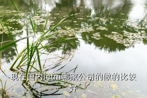 現(xiàn)在國(guó)內(nèi)ietm哪家公司的做的比較好