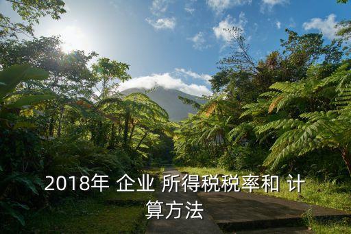 2018年 企業(yè) 所得稅稅率和 計(jì)算方法